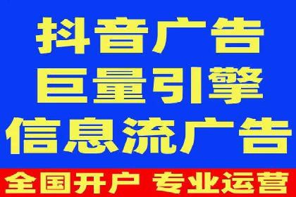 成功SEM服务案例分析报告